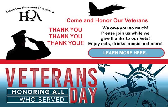 FacebookVeteransDayPost-2020-Z3